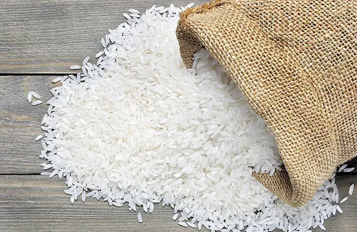 بررسی برنج‌های اقتصادی برای رستوران ها